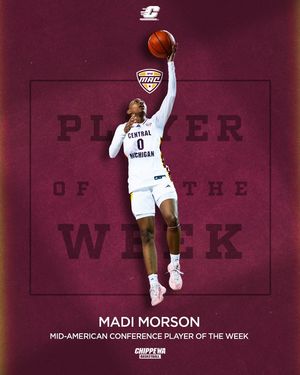 Image post by @AmyFolan on Twitter