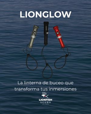 Image post by @lionfishscuba on Instagram