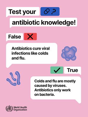 Image post by @who on Instagram