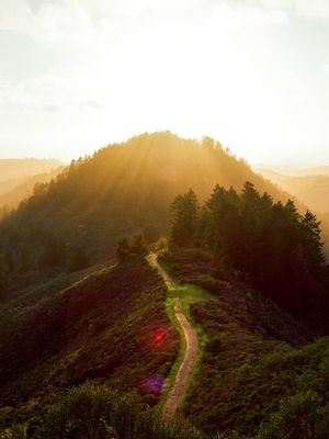 Image post by @moment on Instagram