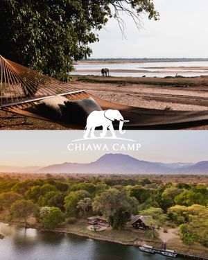 Image post by @chiawasafaris on Instagram