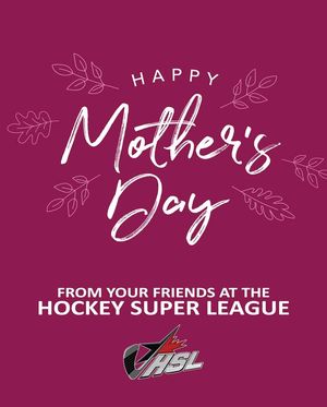 Image post by @HockeySuperLeague on Facebook