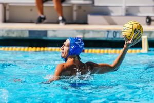 Image post by @sjsumwp on Instagram