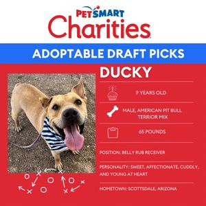 Video post by @petsmart on TikTok