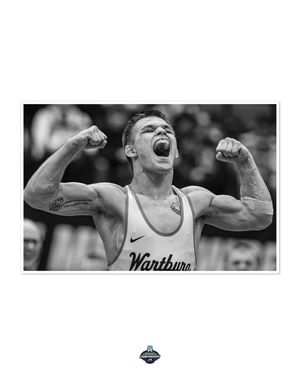 Image post by @kodiak_creative on Instagram