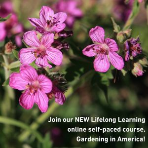 Image post by @ahs_gardening on Instagram
