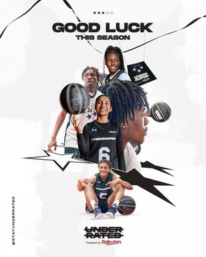 Image post by @underrated on Twitter