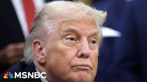 Video post by @msnbc on YouTube