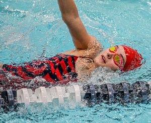 Image post by @spiderswimdive on Instagram