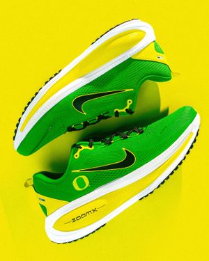 Image post by @goducks on Instagram