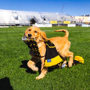 Image post by @charlestonbattery on Instagram