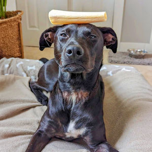 Image post by @honeyimhome on Instagram