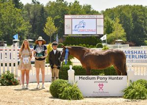 Image post by @kyhorseshows on Instagram