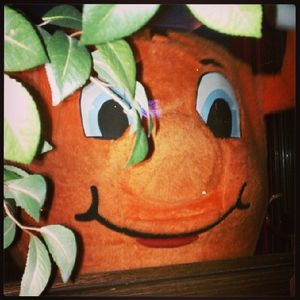 Image post by @theottoorange on Instagram