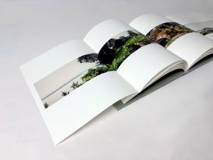 Image post by @loveartprintbooks on Instagram