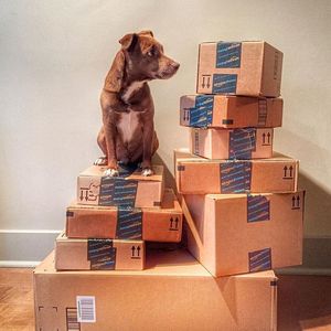 Image post by @amazon on Instagram