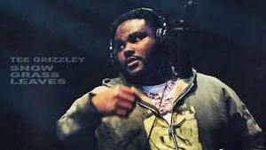 Video post by @teegrizzley on YouTube