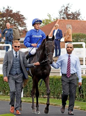 Image post by @godolphin on Instagram