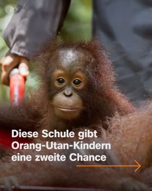 Image post by @zdf.de on Instagram