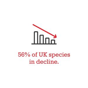 Image post by @rspb on Instagram
