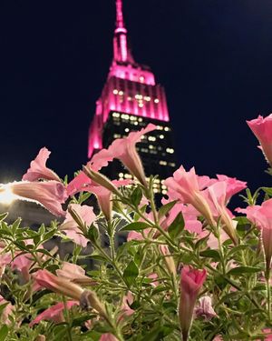 Image post by @empirestatebldg on Instagram