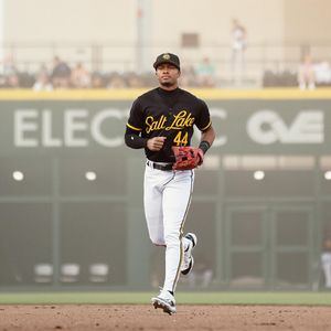 Image post by @saltlakebees on Instagram