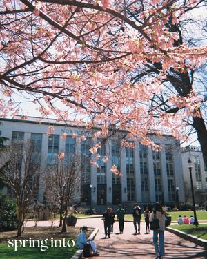 Image post by @northeastern on Instagram