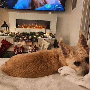 Image post by @kittyj08 on Instagram