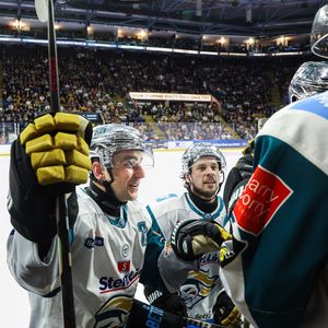 Image post by @belfastgiants on Instagram