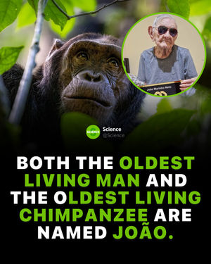 Image post by @science on Instagram
