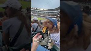 Video post by @thegistsports on YouTube