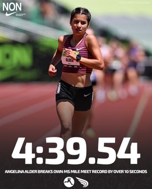 Image post by @dyestat on Instagram