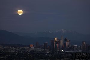 Image post by @zumapress on Instagram