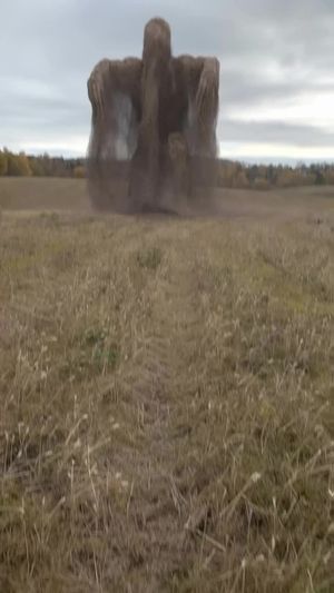 Video post by @collectivelyinc on TikTok