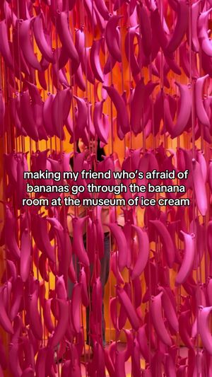 Video post by @jennifer.moglia on TikTok