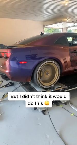 Video post by @dq.mediahouse on TikTok