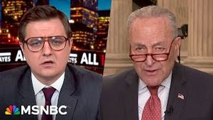 Video post by @msnbc on YouTube