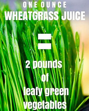 Image post by @certifiedhealthnut on Instagram