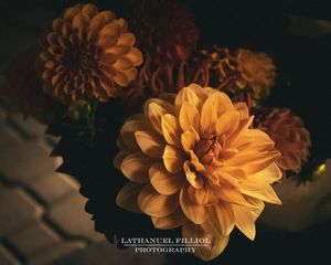 Image post by @lathanuelf_photos on Instagram