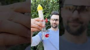 Video post by @nickuhas on YouTube