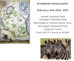 Image post by @TanzaniaCancerCare on Facebook
