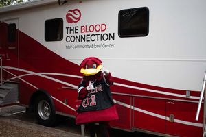 Image post by @thebloodconnection on Instagram