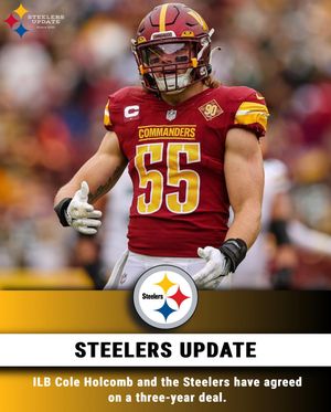 Image post by @steelersupdatecom on Instagram