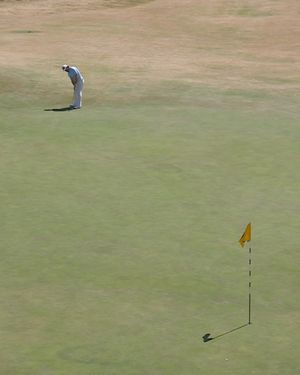 Image post by @theopen on Instagram