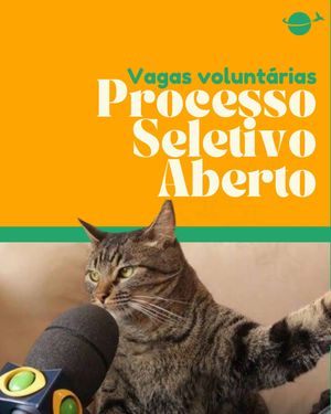 Image post by @poliglobalizando on Instagram