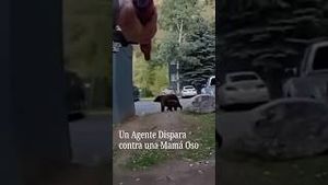 Video post by @nmasunivision on YouTube