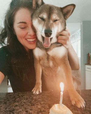 Image post by @steffybabay on Instagram