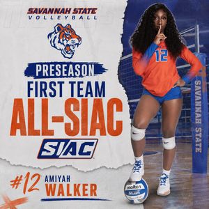 Image post by @savstatetigers on Instagram