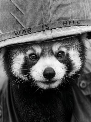 Image post by @redpandavx on Instagram