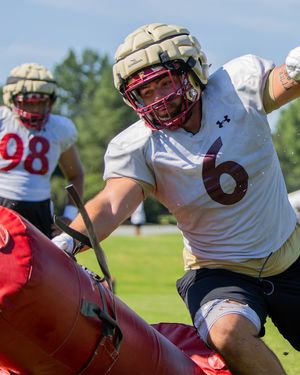 Image post by @elonfb on Instagram